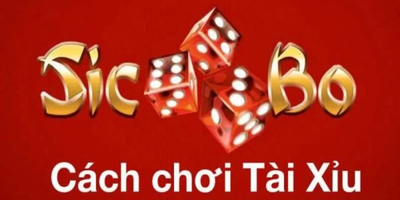Cách chơi tài xỉu online