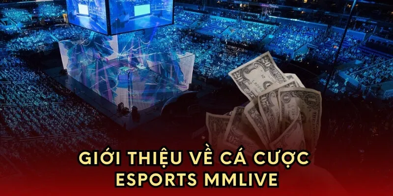 Giới thiệu về cá cược esports 